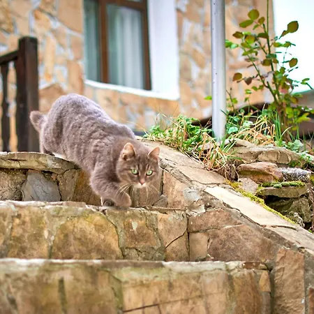 вълеви къщи Gæstehus