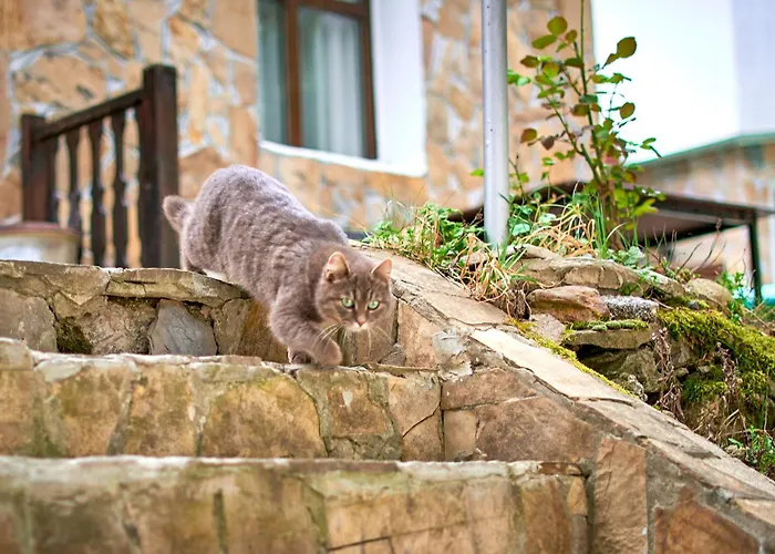 вълеви къщи Penzion