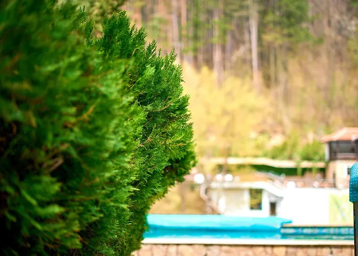 вълеви къщи * Čiflik